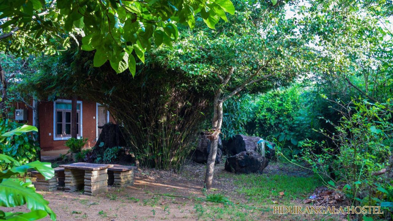 Pidurangala Hostel Szigirija Kültér fotó